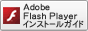 Flash Player
