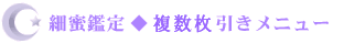 �ז��Ӓ聟�������������j���[