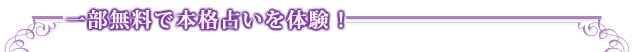 �ꕔ�����Ŗ{�i�肢��̌��I