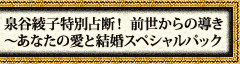 ��J���q���ʐ�f�I�@�O������̓����`���Ȃ��̈��ƌ����X�y�V�����p�b�N